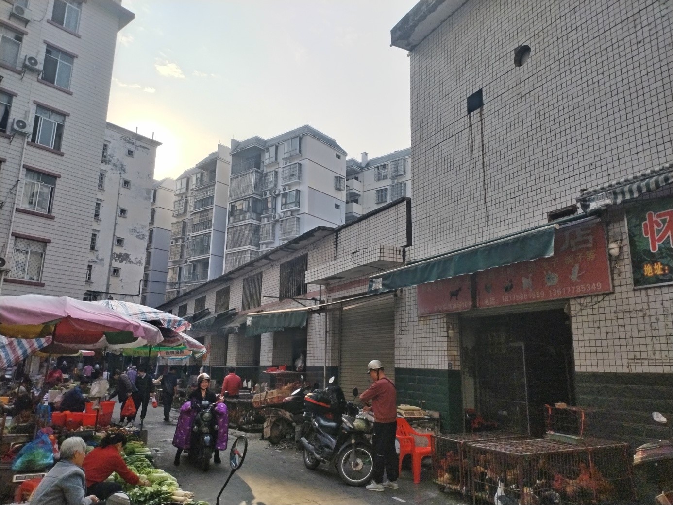 正规滚球app平台河池分公司招租公告